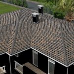 Shingle-1